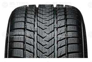 Gripmax SureGrip Pro Winter 255/55 R19 111V