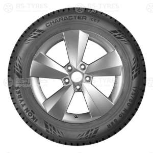 Ikon (Nokian Tyres) Character Ice 7 (Nordman 7) 195/65 R15 95T