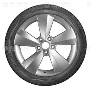 Ikon (Nokian Tyres) Character Snow 2 (Nordman RS2) SUV 225/60 R18 104R