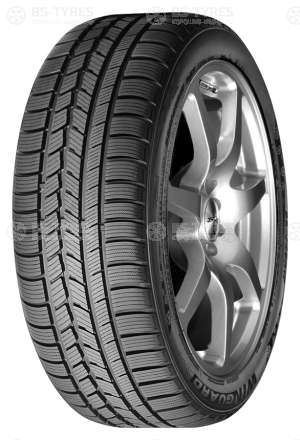 Roadstone Winguard Sport 225/55 R17 101V