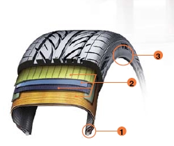 Начинка EvoV12