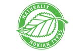 Масла Nokian